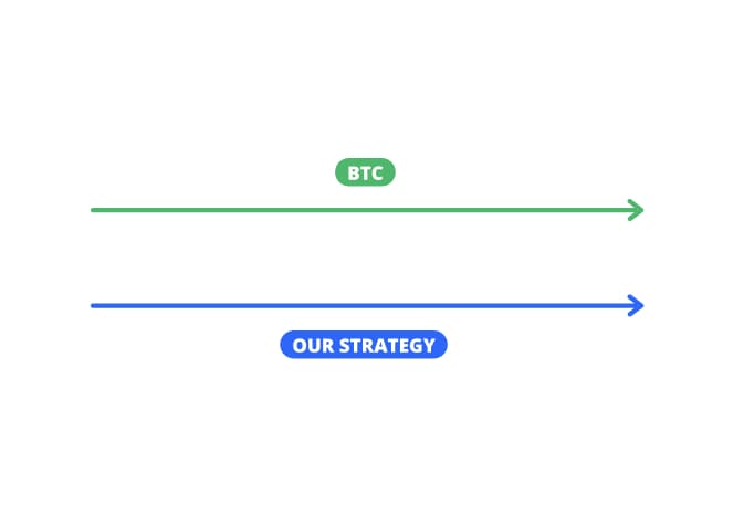 Altcoin Momentum Dynamics Altcoin Momentum Dynamics